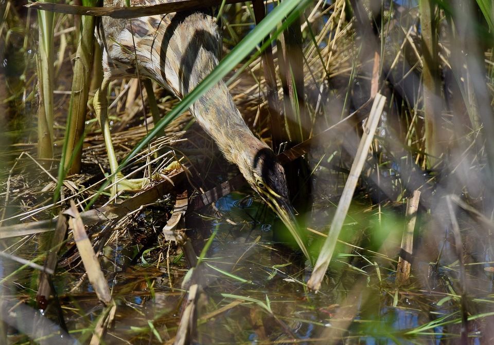 By Andy Reago and Chrissy McClarren, CC-BY-2.0